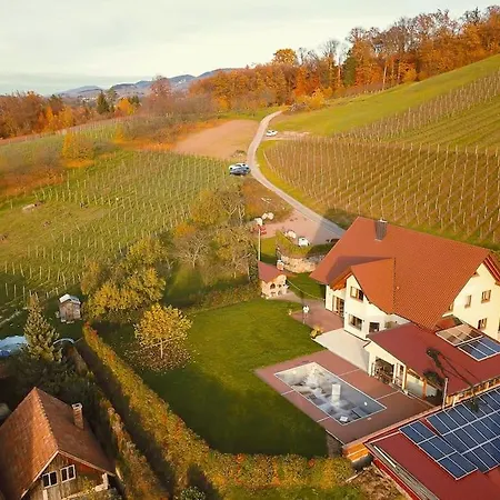 Villa Schwarzwaldtraum Am Weinberg Sasbachwalden